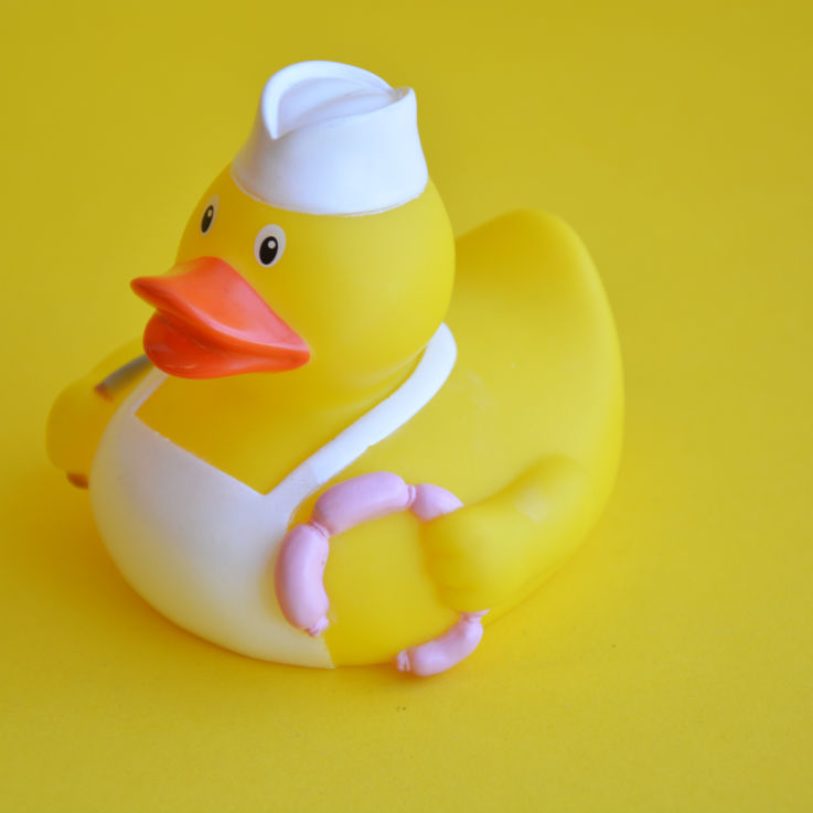 Enten_66
