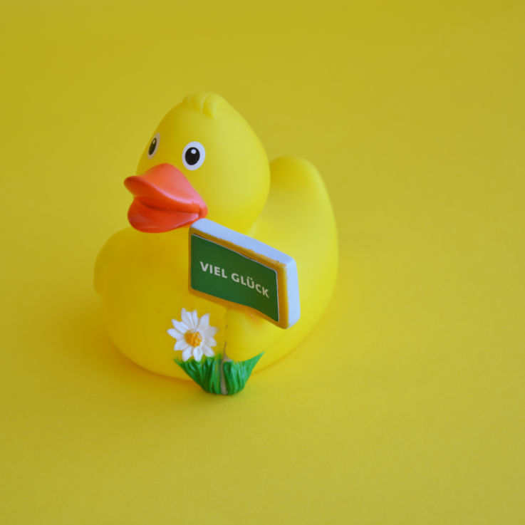 Enten_73