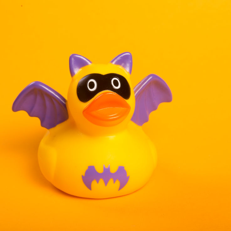 Enten-Muster2018.03.30-314