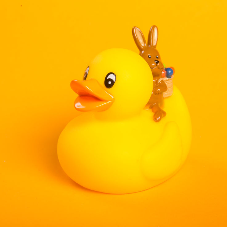 Enten-Muster2018.03.30-198