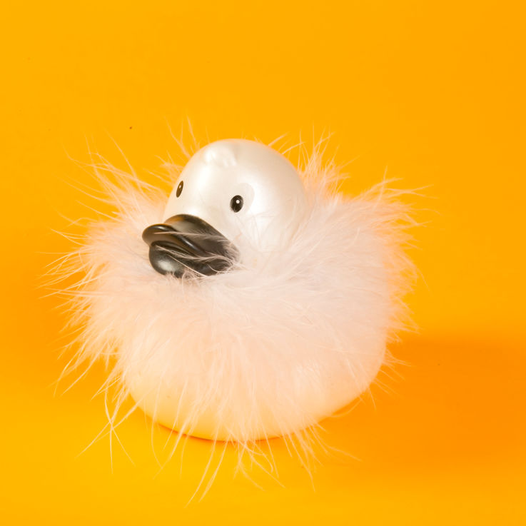 Netz.f.KinderEnten076