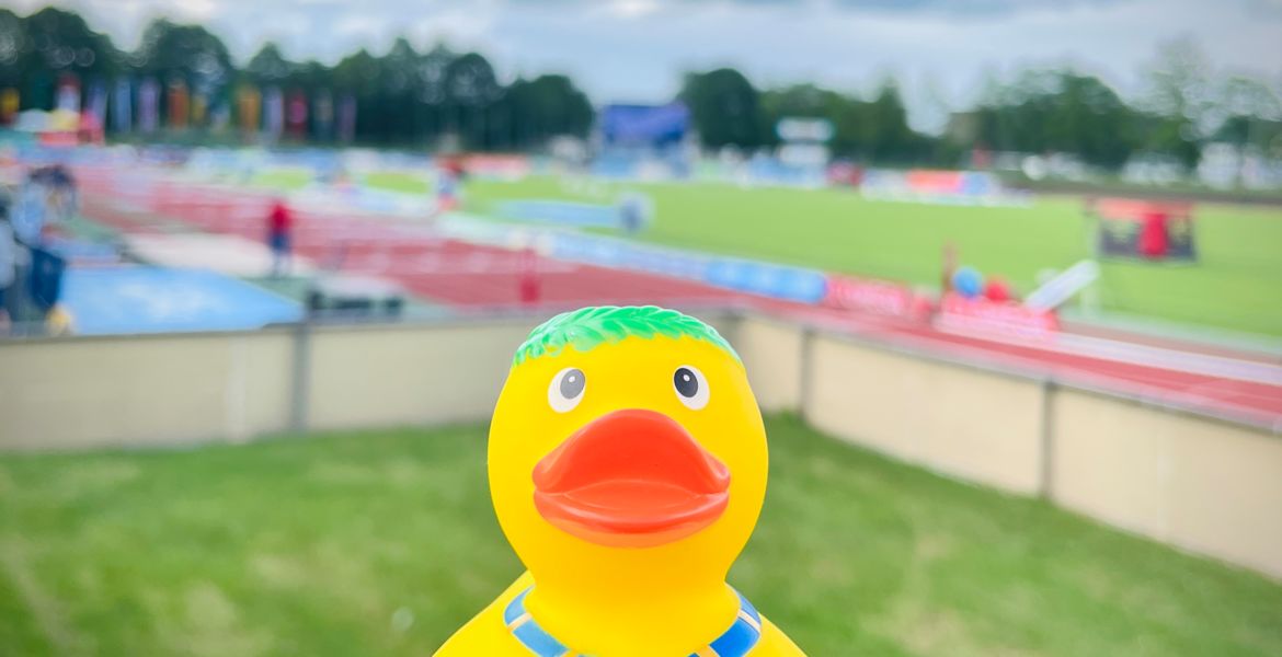 Champion-Ente