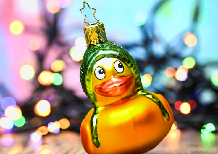 NfK Weihnachts Ente_© Udo Mittelberger 3