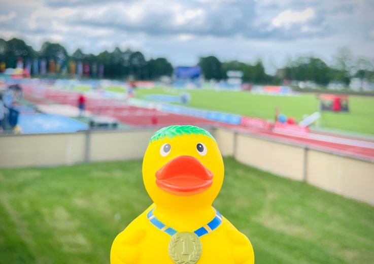 Champion-Ente