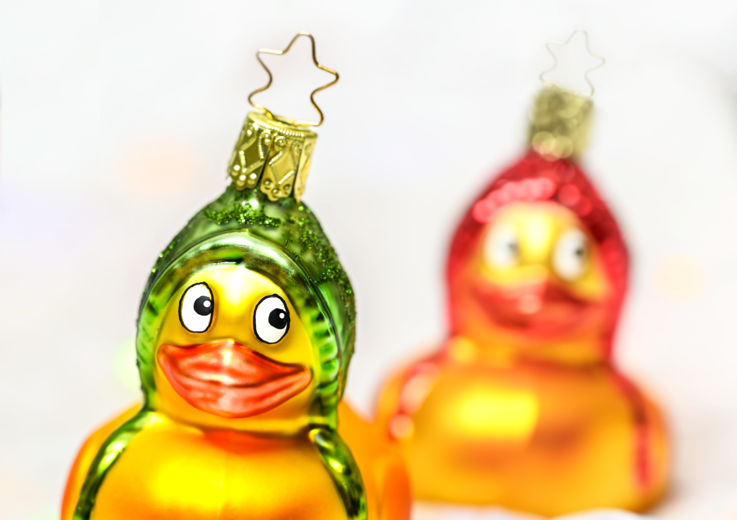 NfK Weihnachts Ente_© Udo Mittelberger 7