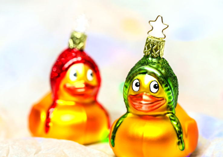 NfK Weihnachts Ente_© Udo Mittelberger 9