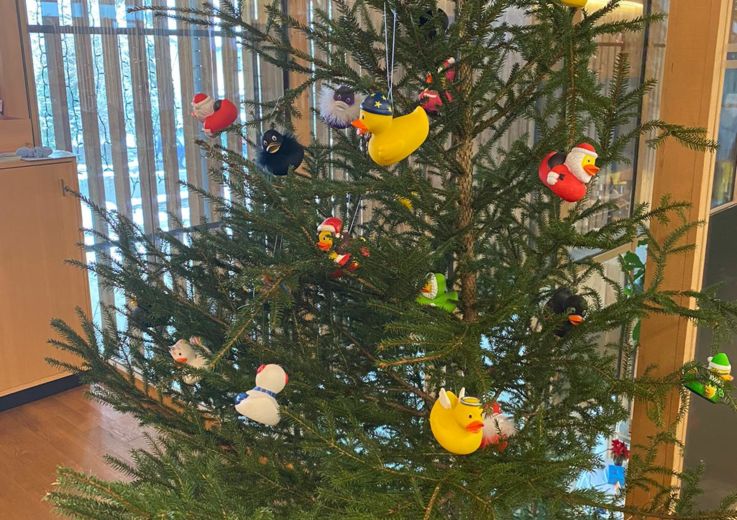 Entenchristbaum