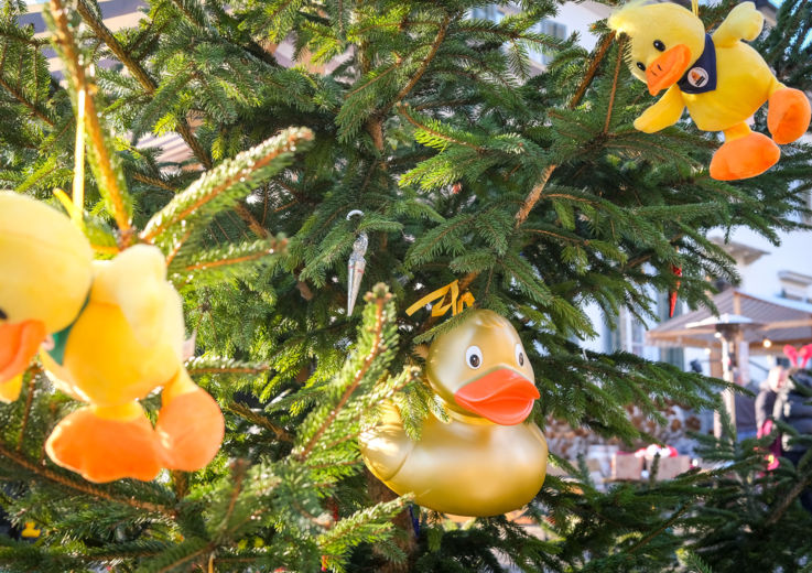 NfK_Weihnachten Falkenhorst_© Udo Mittelberger-6