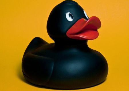 Ente schwarz