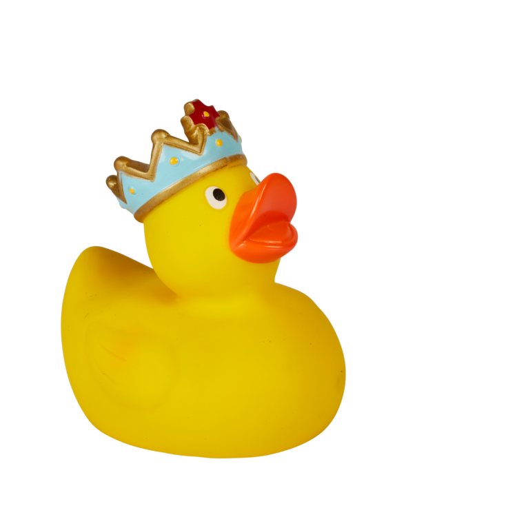 Enten_37