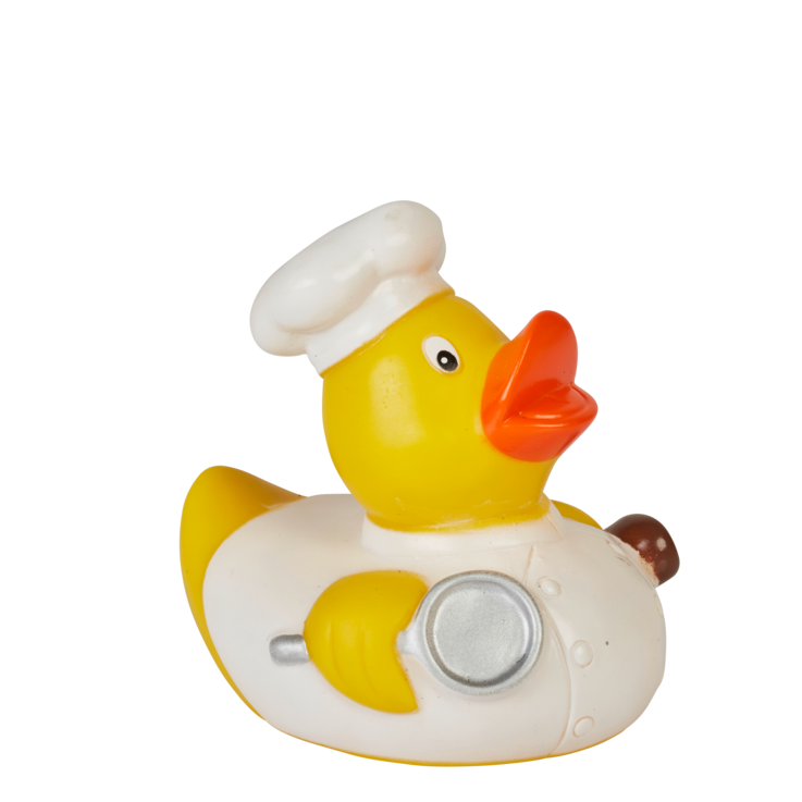 Enten_28