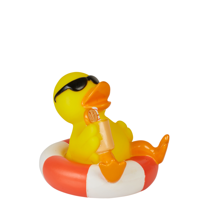 Enten_48
