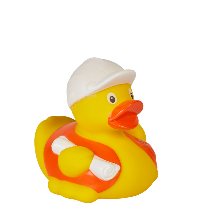 Enten_20