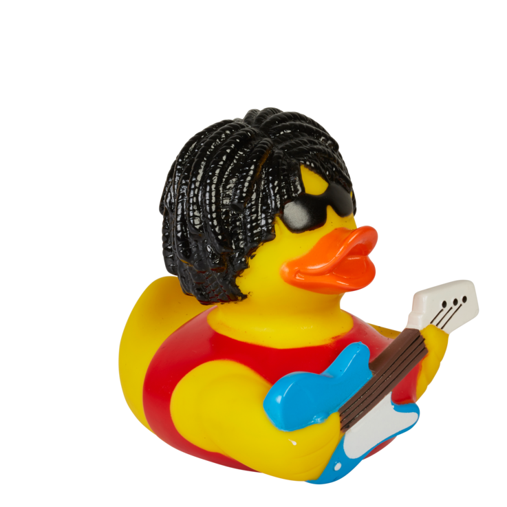 Enten_29