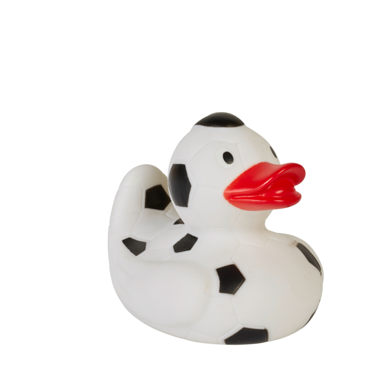 Enten_13